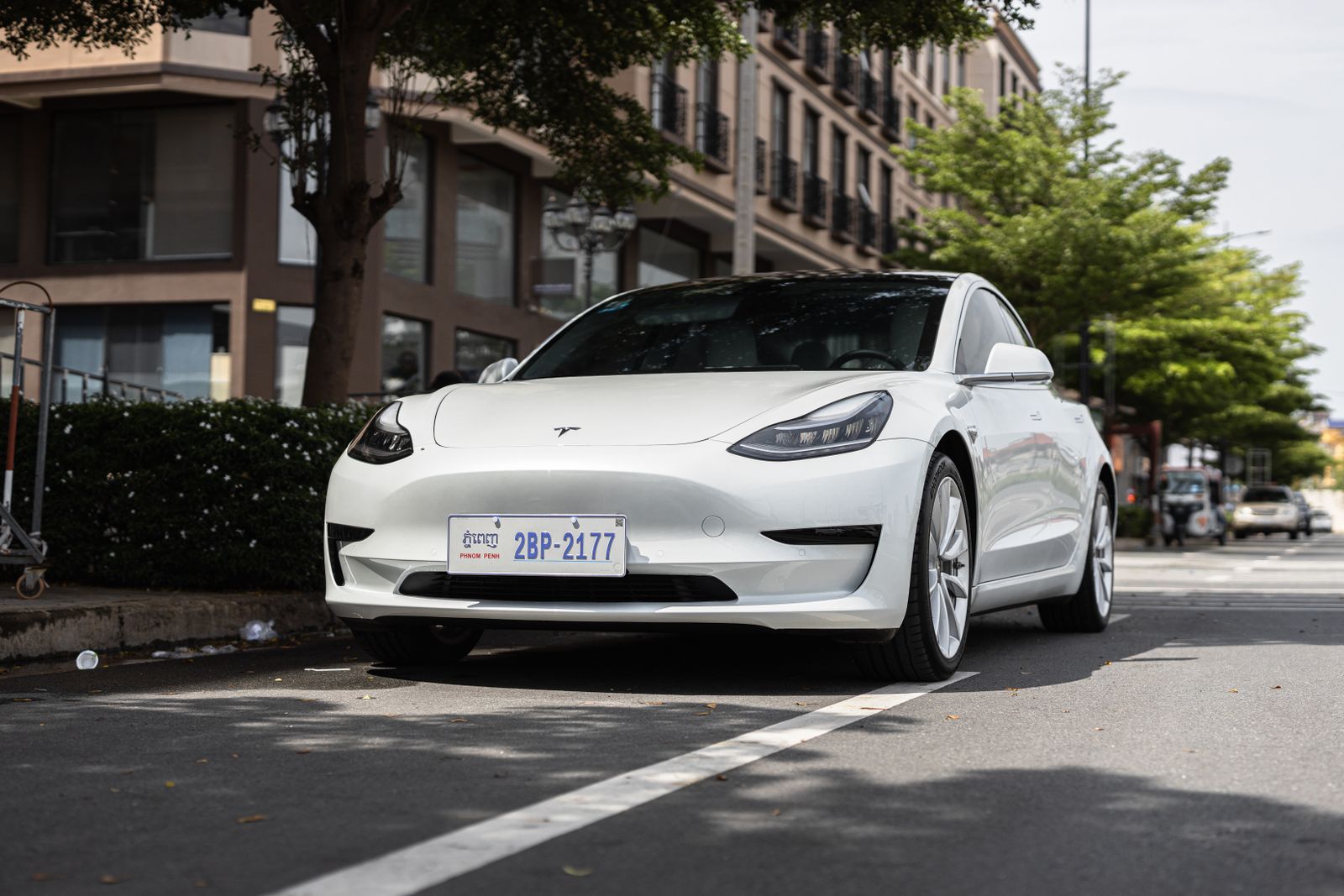 An electric car parked on a tree lined Austin street